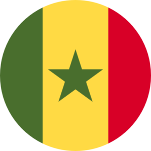 Total Database of 1,062,000 Senegal’s Mobile Phone Numbers (Total country database)